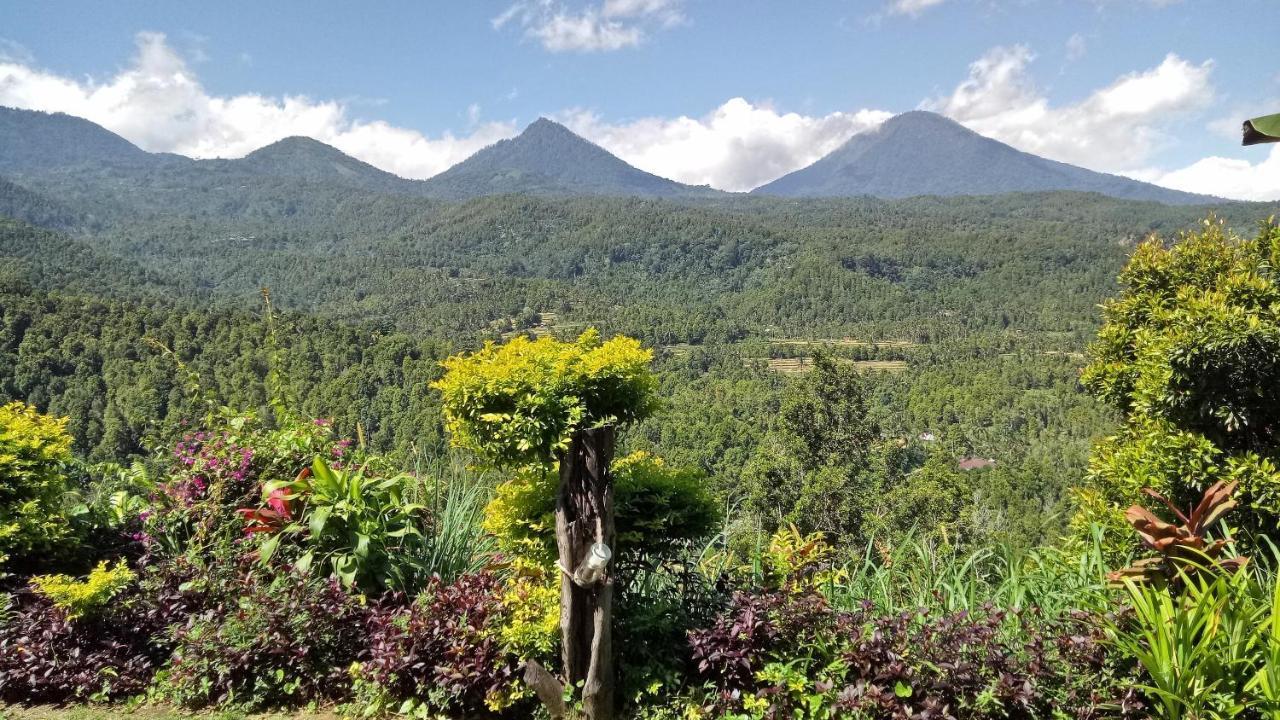 Made Oka Homestay And Warung Munduk エクステリア 写真