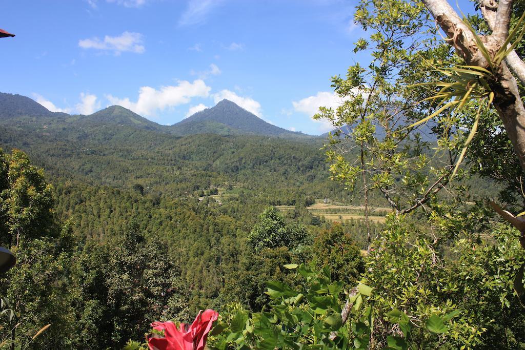 Made Oka Homestay And Warung Munduk エクステリア 写真