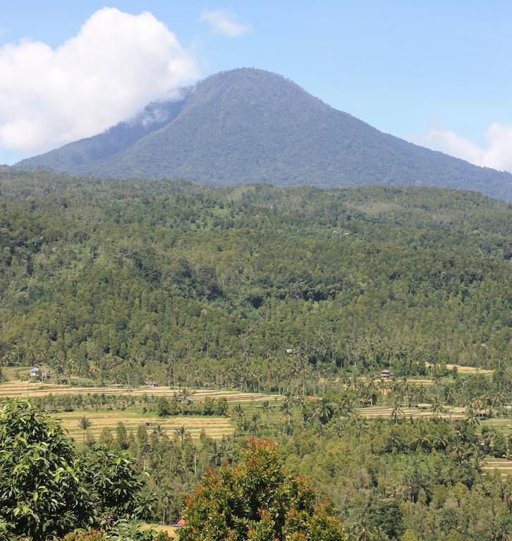 Made Oka Homestay And Warung Munduk エクステリア 写真